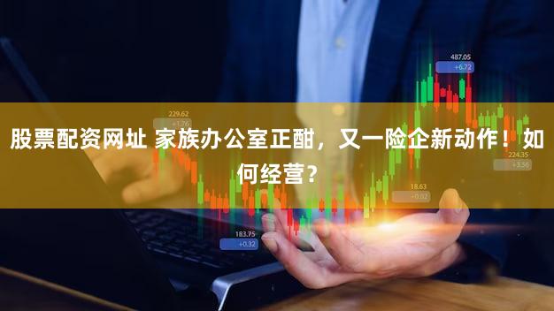股票配资网址 家族办公室正酣，又一险企新动作！如何经营？
