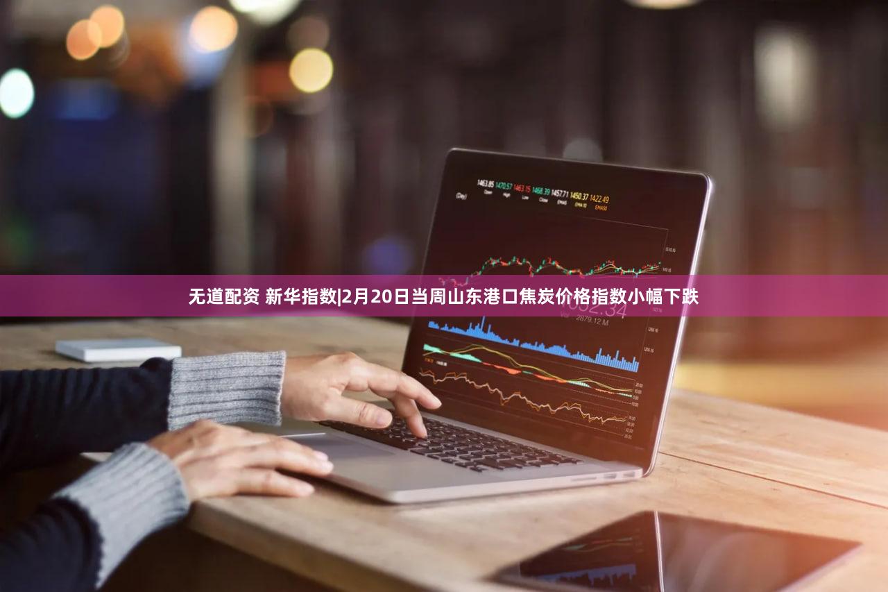 无道配资 新华指数|2月20日当周山东港口焦炭价格指数小幅下跌