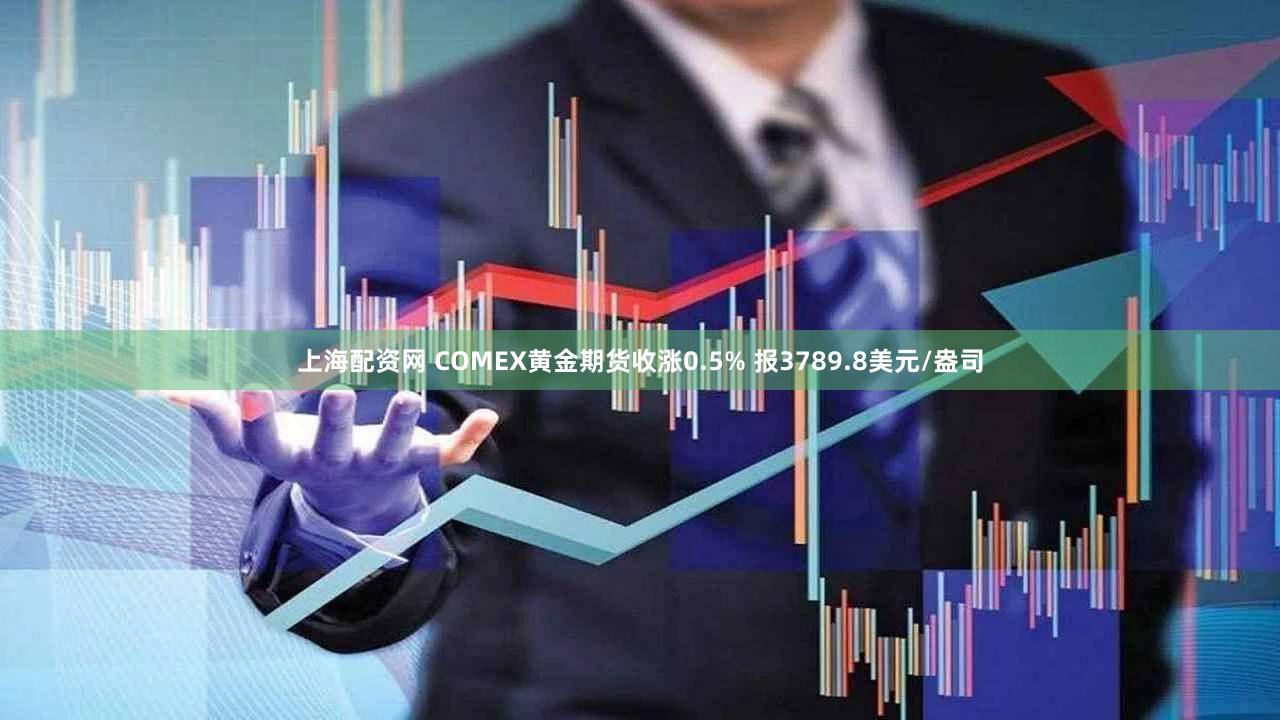 上海配资网 COMEX黄金期货收涨0.5% 报3789.8美元/盎司
