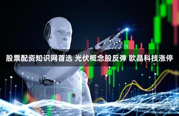 股票配资知识网首选 光伏概念股反弹 欧晶科技涨停