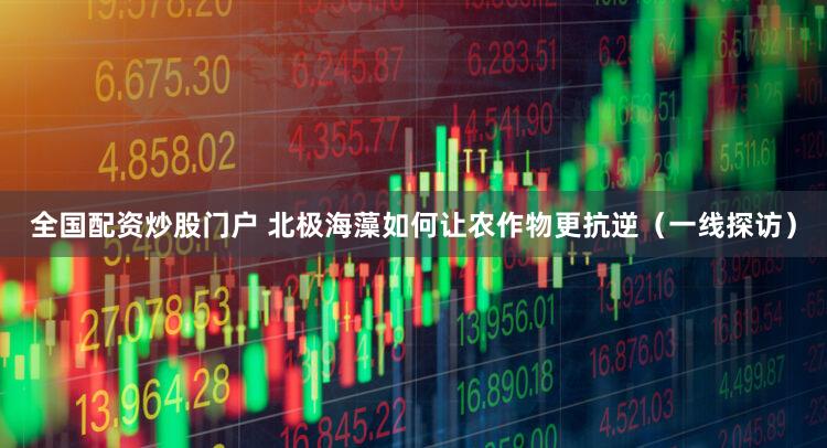 全国配资炒股门户 北极海藻如何让农作物更抗逆（一线探访）