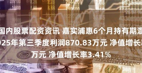 国内股票配资资讯 嘉实浦惠6个月持有期混合A:2025年第三季度利润870.83万元 净值增长率3.41%