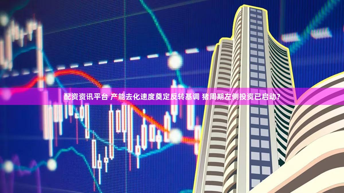 配资资讯平台 产能去化速度奠定反转基调 猪周期左侧投资已启动？